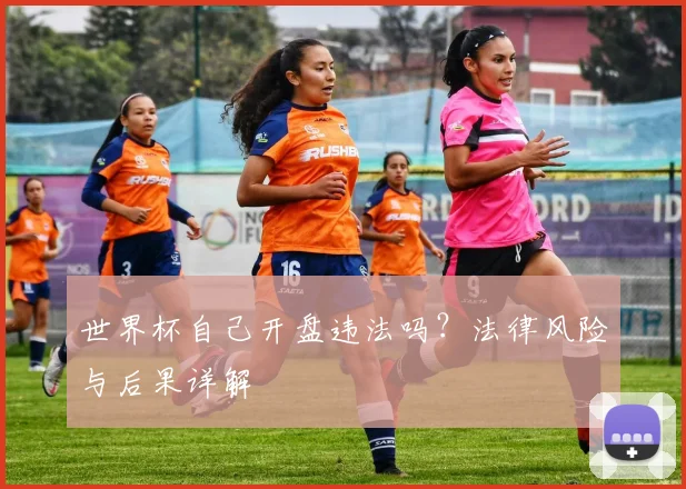 世界杯自己开盘违法吗？法律风险与后果详解
