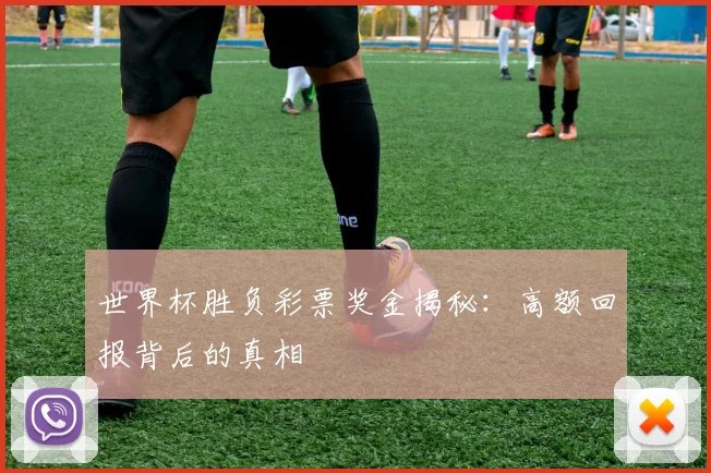 世界杯胜负彩票奖金揭秘：高额回报背后的真相